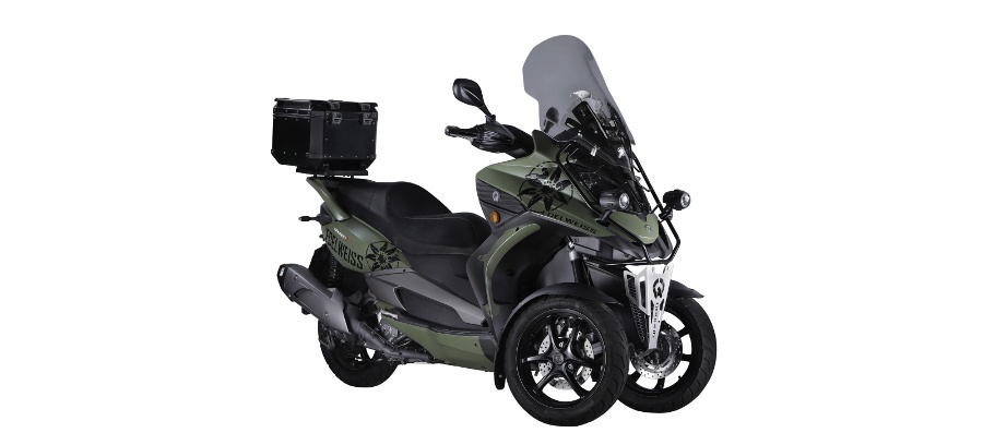 Quadro Edelweiss 6