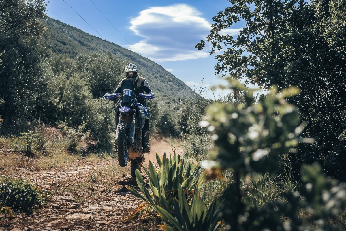 Yamaha Ténéré OLYMPIA Rally 2025 7