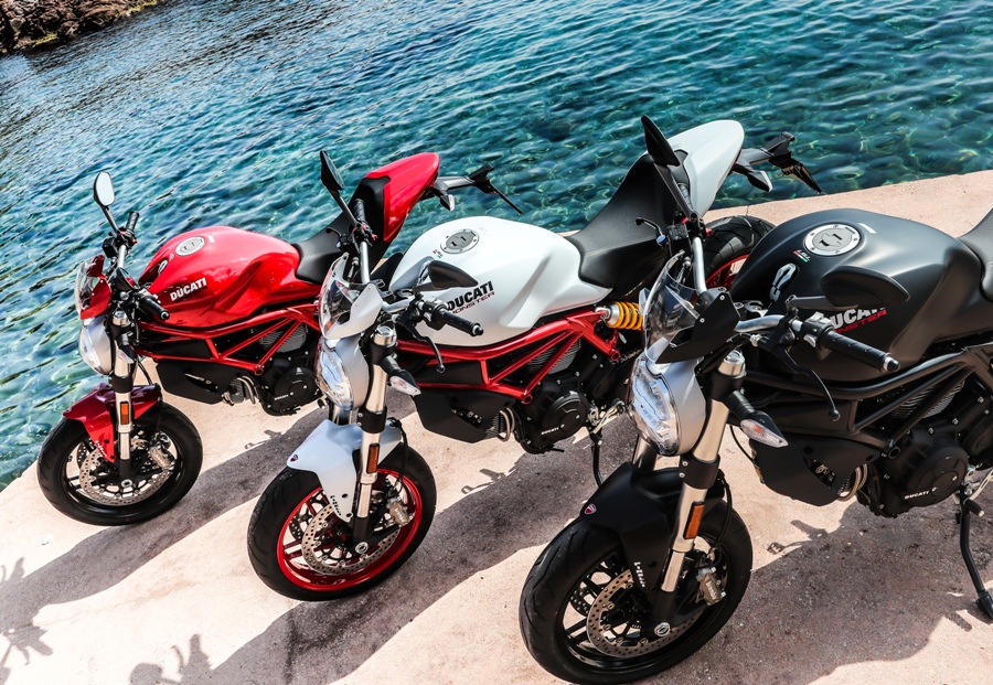 ducati monster anniversary 3