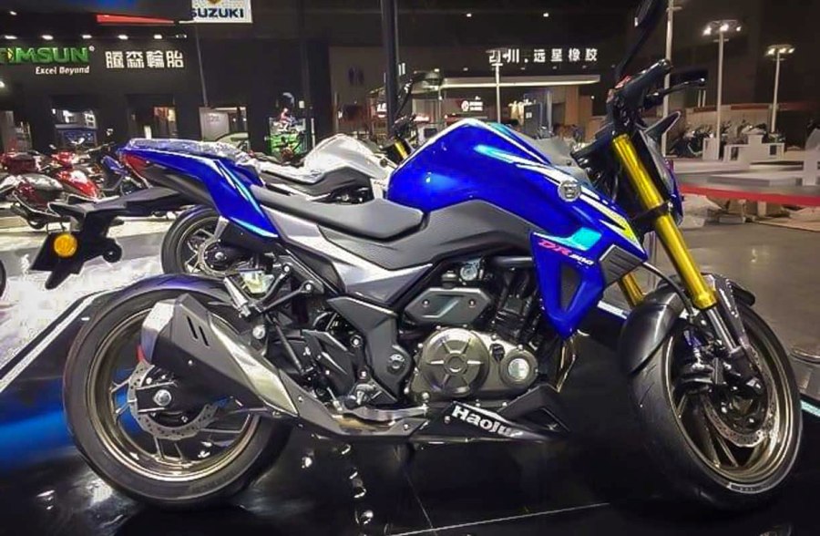 suzuki gsx s 300 haojue dr 300 8