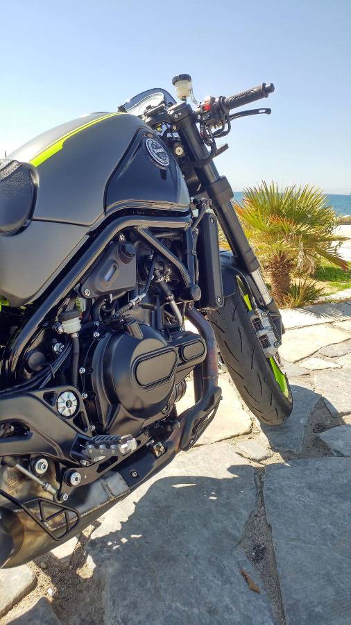 benelli leoncino project sport 3