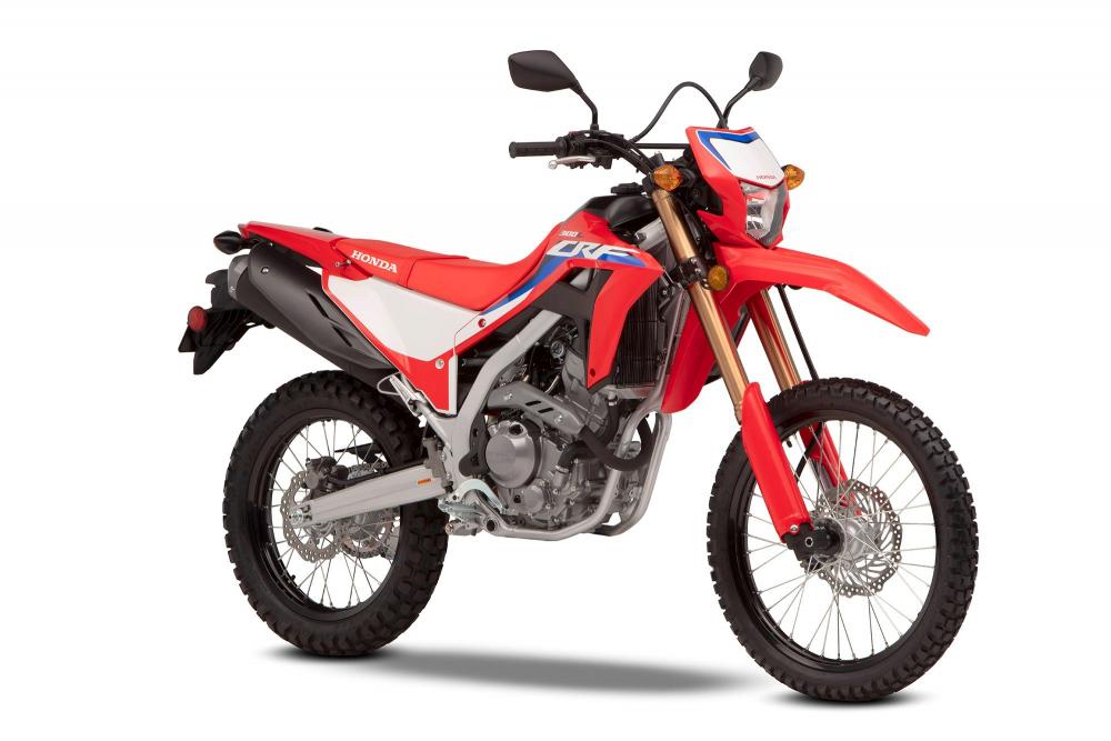 honda crf300l rally 6