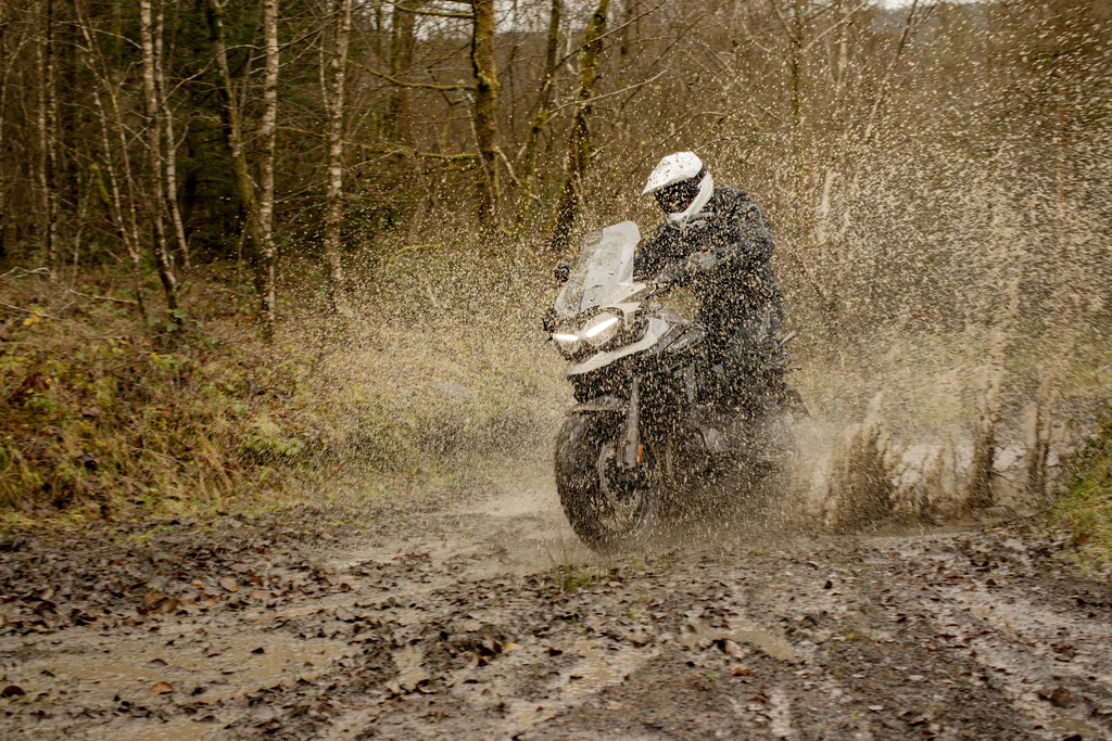 Tiger 1200 Desert Edition 14