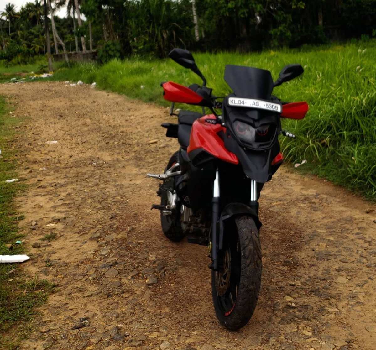 Bajaj Pulsar NS 200 custom 2