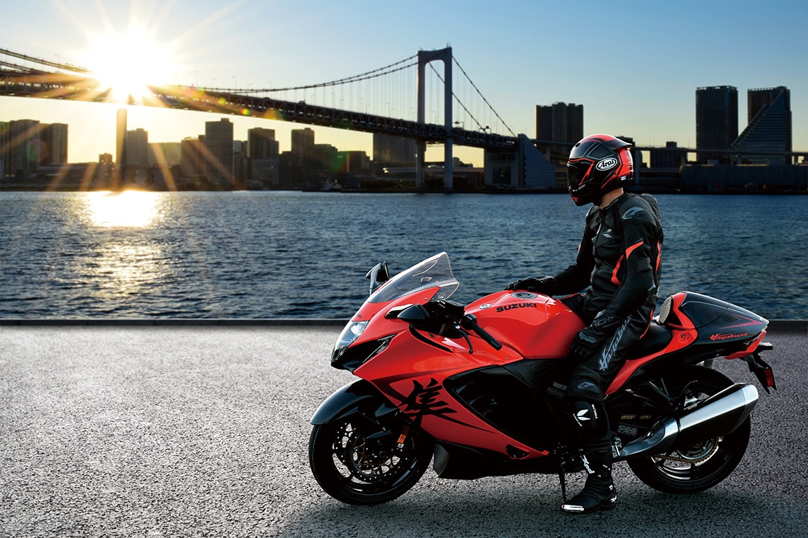 Suzuki Hayabusa Anniversary Edition 6