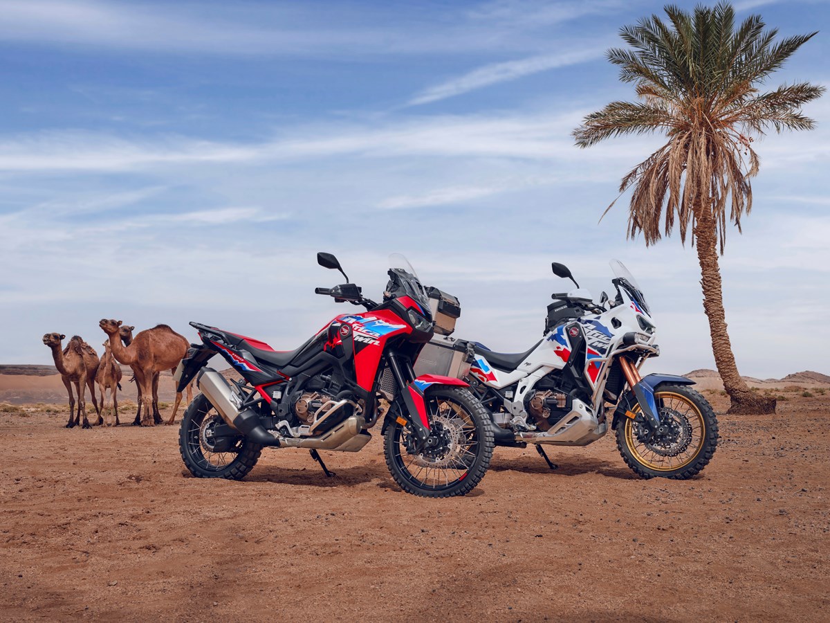 451586 24YM CRF1100L AFRICA TWIN ADVENTURE SPORTS