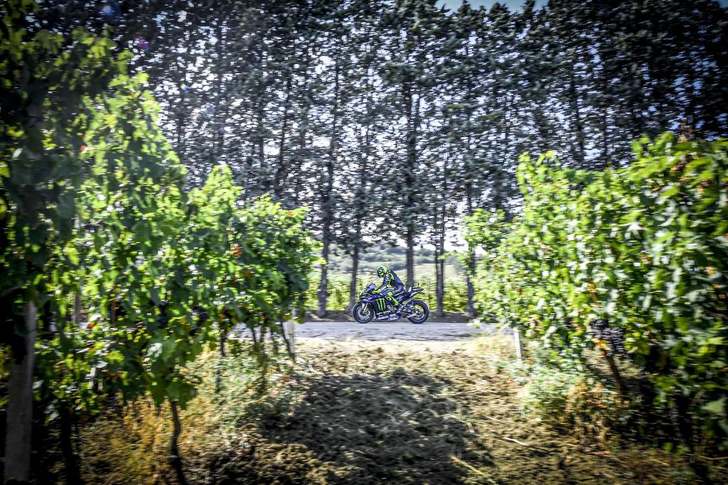 rossi tavullia 15