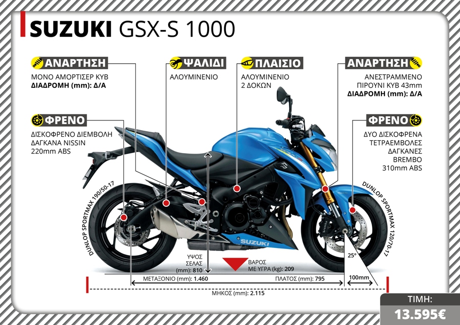 SUZUKI GSXS 1000 1 17