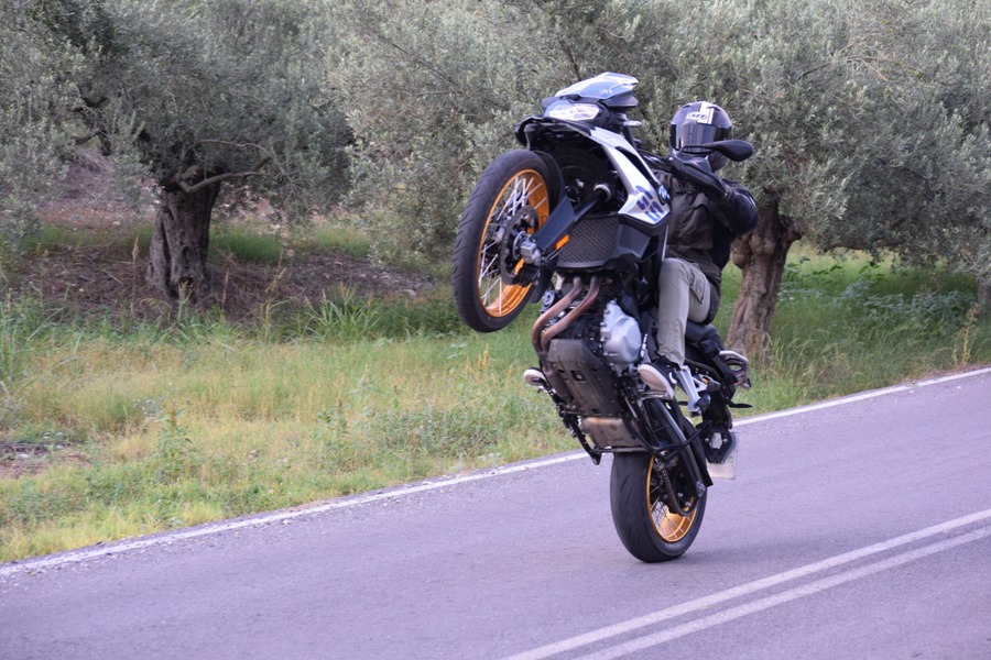 bmw f850gs action 6