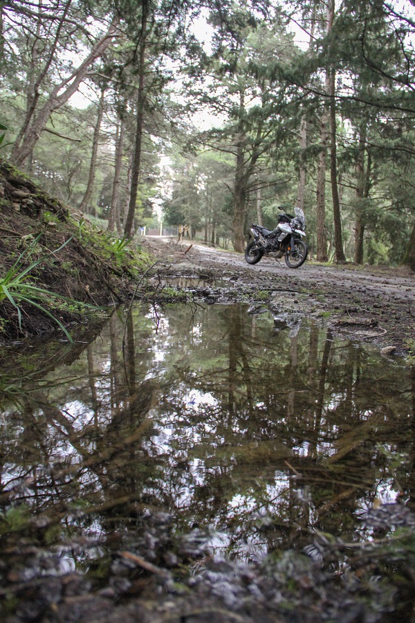 triumph tiger 800 xcx ambience 14