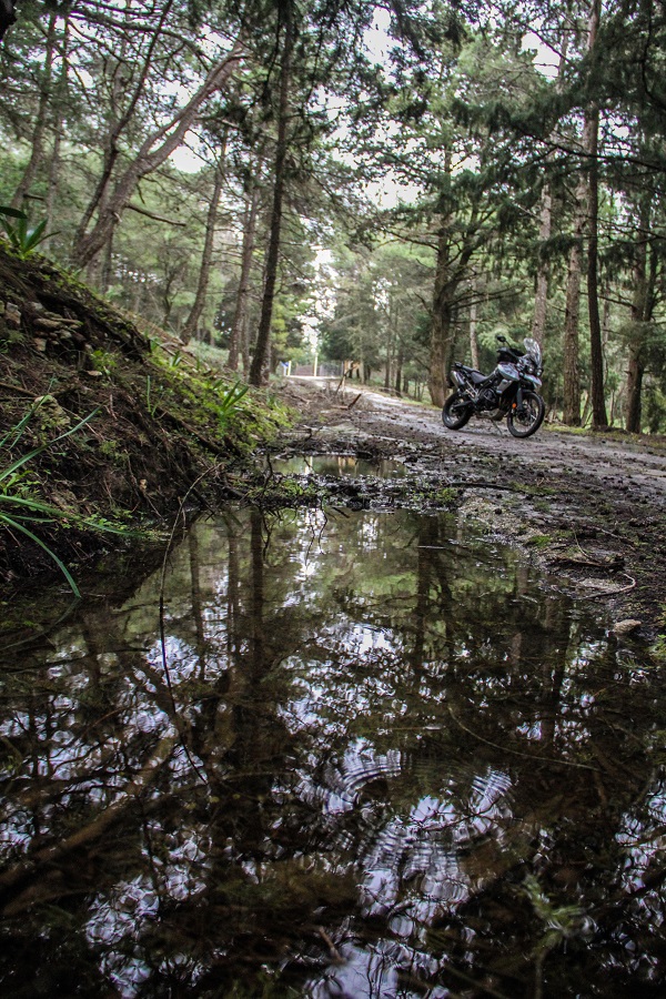 Triumph Tiger XCx Rhodos 23