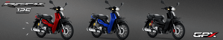 GPX ROCK-880X160